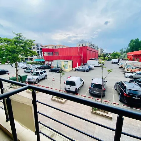 Bratanov Tarantula Studio